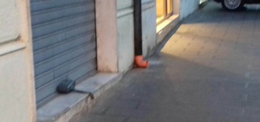 Pacco sospetto in centro a Catanzaro, intervengono carabinieri: falso allarme