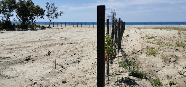 SPIANA ILLEGALMENTE ALCUNE DUNE LITORANEE A STECCATO DI CUTRO, DENUNCIATO