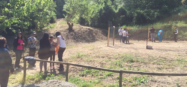 L'assessore Cavallaro a "Liberi tutti": presto regolamento per gestione e tutela animali