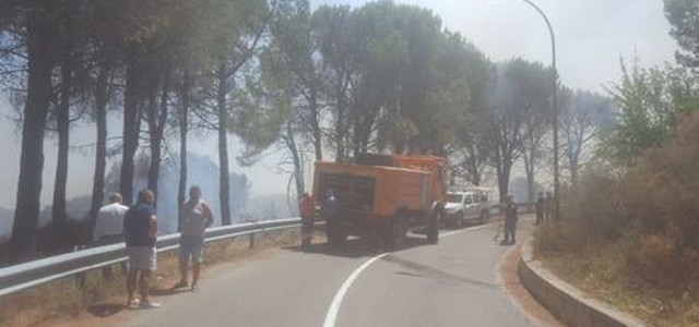 Incendi nel Catanzarese, animali carbonizzati dalle fiamme (VIDEO)