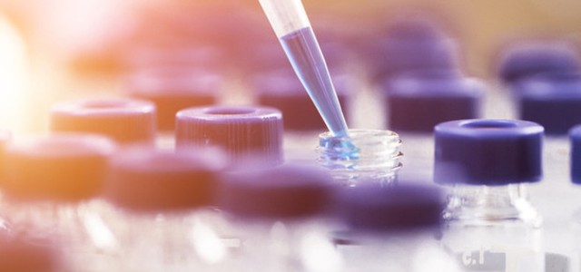 Creati batteri intestinali che battono tumore colon-retto