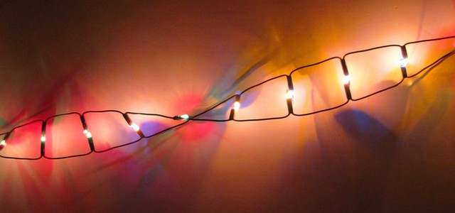 E' possibile riscrivere le singole lettere del Dna