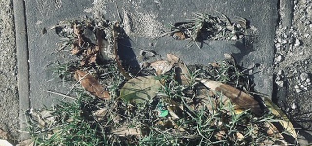 Maltempo, rifiuti e tombini ostruiti minacciano Catanzaro: Codacons pronto a denunciare sindaco