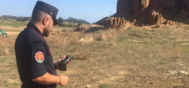 Carcasse di ovini trovate abbandonate, denunciata proprietaria azienda