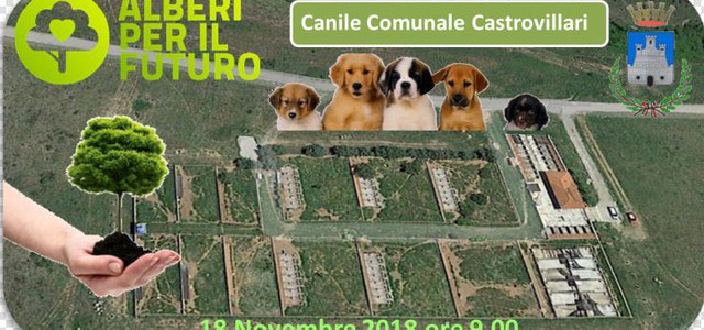 Dichiarazione dell' ass. Pace comune di Castrovillari