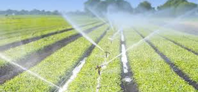 Consorzio di Bonifica: "I rilasci dei volumi di acqua per l’irrigazione nel fiume Simeri non soddisfa aziende agricole"
