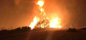 Vasto incendio nel Vibonese, vigili del fuoco lottano contro le fiamme
