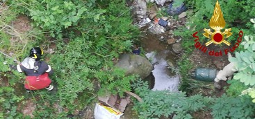 VVF riportano a casa cucciolo di maremmano caduto in burrone (foto)