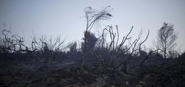 Incendi, altra vittima nel Cosentino