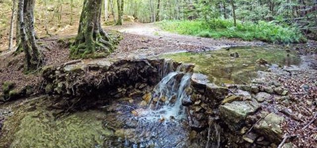 A Cardinale il Trekking Day