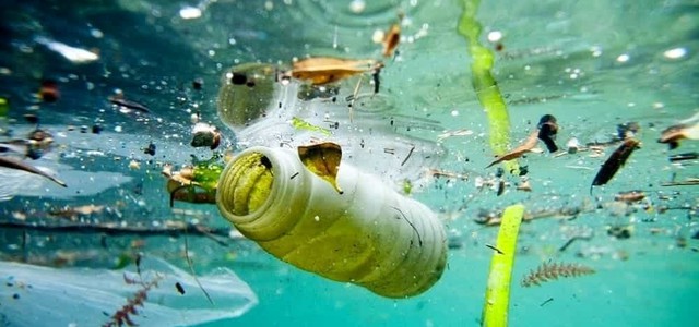 Approvato il decreto Salva Mare - La soddisfazione di Legambiente, ecco cosa cambierà nella raccolta dei rifiuti marini