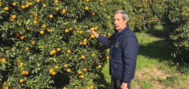 Corigliano piange la scomparsa dell’imprenditore Giorgio Malagrinò 