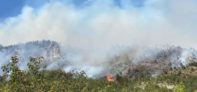 Incendi, piromane arrestato dai carabinieri in Calabria