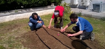A Lamezia Terme il primo orto sinergico calabrese in un reparto di psichiatria