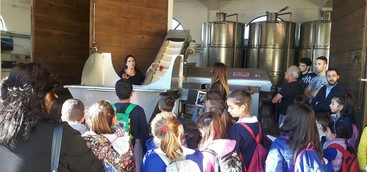 I bambini della scuola elementare di Miglierina visitano aziende