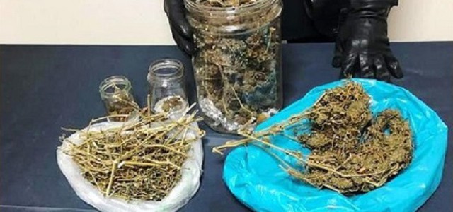 Droga in un magazzino dell’impresa edile, operaio arrestato nel Catanzarese