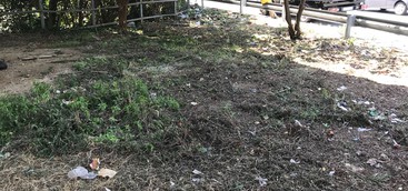 A Catanzaro centinaia di kg di rifiuti emersi dopo la pulizia del verde