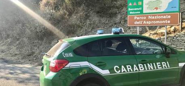 Fermato con fauna protetta,denunciato