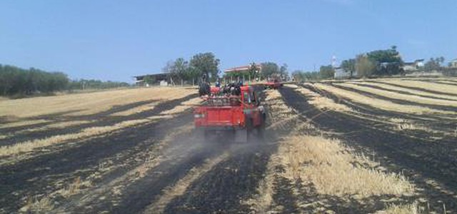 Rogo in un campo, muore avvolta da fiamme