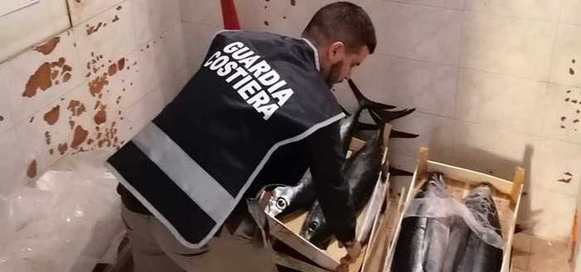 Pesca di frodo, sequestrati 150 chilogrammi di tonno