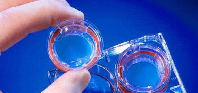 Università di Padova, Bologna e Torino al top dell'eccellenza
