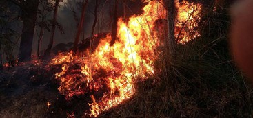 Incendio a Catanzaro, vigili del fuoco al lavoro (VIDEO)