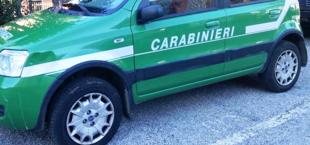 Rifiuti speciali in località “Fiumarella”: tre denunce