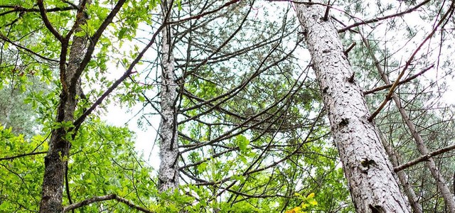 Residenze d'artista della Fondazione Rocco Guglielmo al Marca