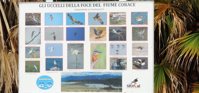 A Lido l'incontro pubblico “L’avifauna del Corace”