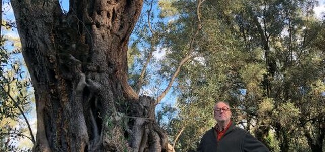 Coldiretti: domenica a Melaverde la Calabria su Canale 5