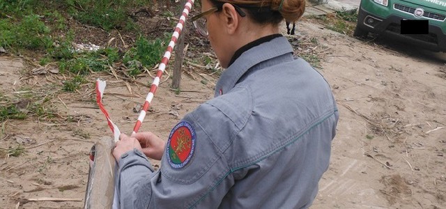 Taglia bosco illecitamente, denunciato