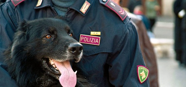 Controlli della Polizia di Stato nelle scuole  , "Bruce" consegna la droga agli agenti