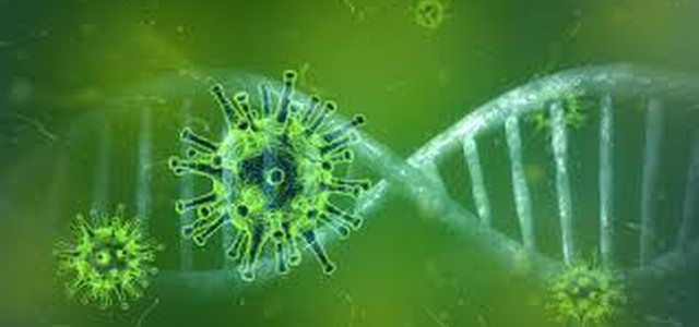 Coronavirus, studio Ispi abbatte tasso di letalità in Italia
