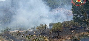 Oltre 90 interventi per incendi nel Catanzarese
