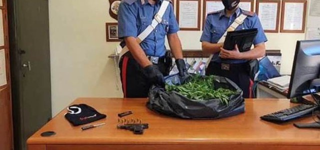 Tenta di sfuggire all'alt, aveva in auto 14 kg di marijuana
