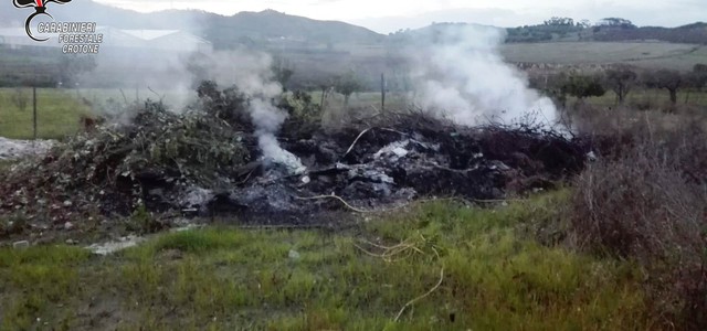 Incendia cumuli di rifiuti, denunciato