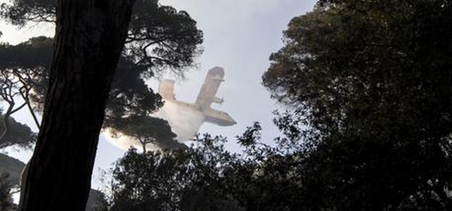 Ancora incendi nel Cosentino