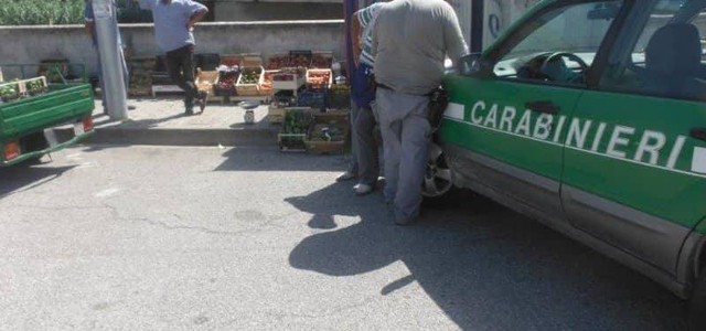 Tutela agroalimentare, controlli a veicoli per trasporto alimenti