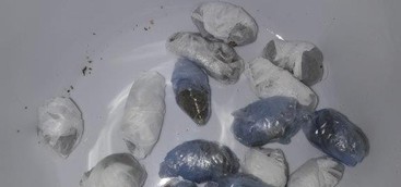 Marijuana coltivata in abitazione, due arresti