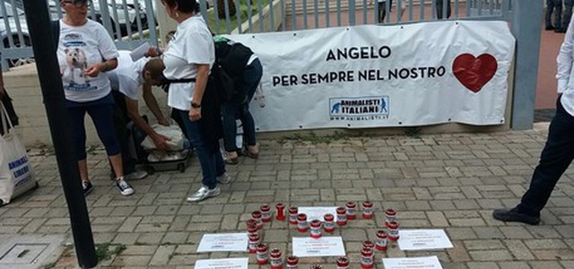Cane seviziato e ucciso, 4 condanne