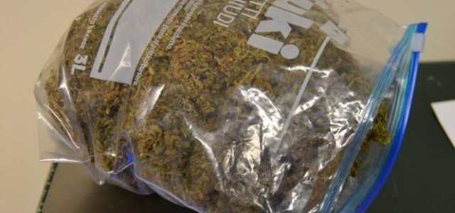 Arrestato 60enne a Lamezia per spaccio di marijuana