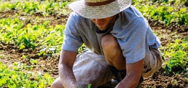 Domanda Unica 2017: ultimati i pagamenti del mese di febbraio