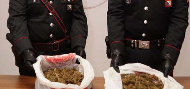 Un kg di marijuana, arrestato calabrese a Policoro