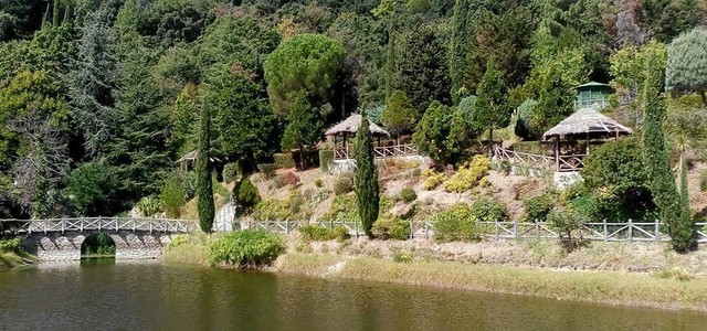 Michele Traversa nominato Presidente del parco Pineta di Siano