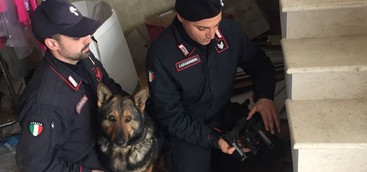Scoperto mini arsenale in casa, un arresto nel crotonese 