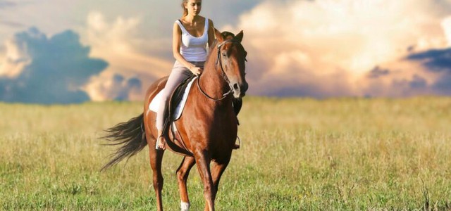 Aziende agrituristiche in Calabria: meno servizi rispetto altre regioni