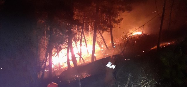 Tiriolo, incendio boschivo lambisce abitazioni per il forte vento
