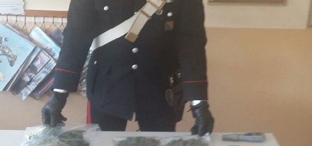Laboratorio clandestino per coltivare marijuana, un arresto