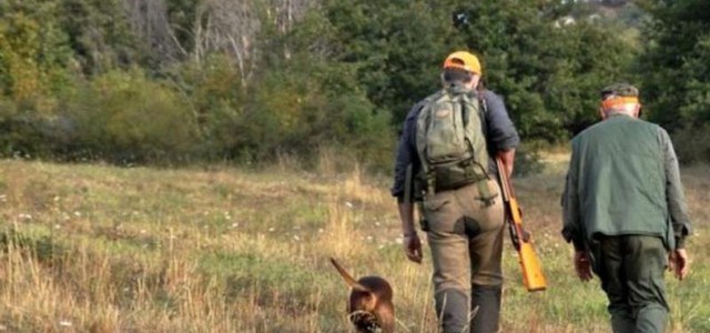 Emergenza cinghiali, approvato nuovo piano regionale di selezione