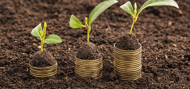 Pubblicato il bando del PSR a sostegno delle produzioni di qualità